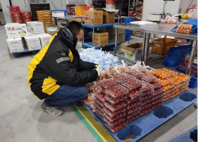 【0211】蘇寧物流加工中心一天送出的菜 相當于30余個農(nóng)貿(mào)市場501.png