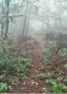 【0325】你守護(hù)深山水電站，蘇寧物流守護(hù)你的心愿必達(dá)1150.png